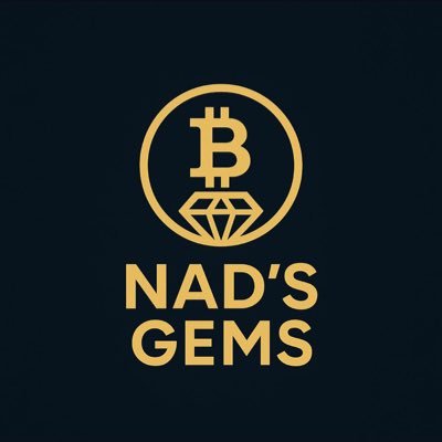 Profile photo of nad, Solana on-chain trader (wallet 363s…XuaT)