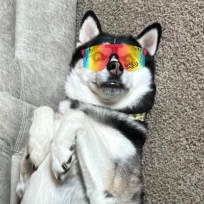 Profile photo of JADAWGS, Solana on-chain trader (wallet 3H9L…FSEC)