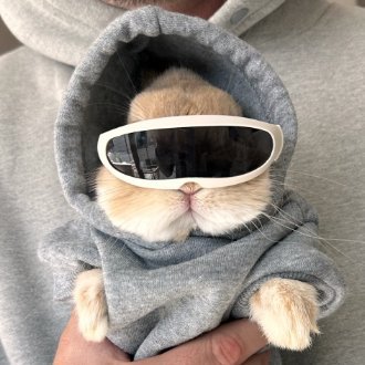 Profile photo of denzaa, Solana on-chain trader (wallet 4X19…vCA8)