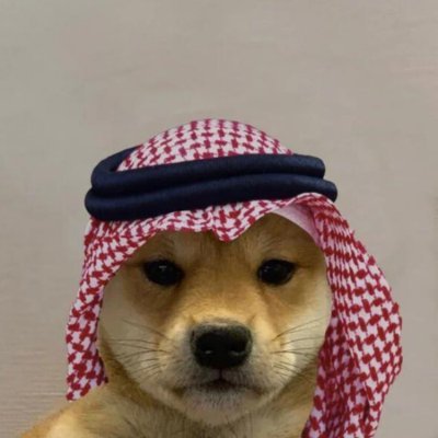 Profile photo of ram, Solana on-chain trader (wallet 57rX…2V9b)