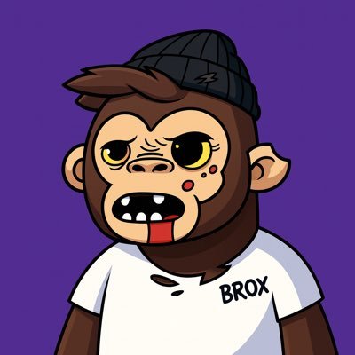 Profile photo of Brox, Solana on-chain trader (wallet 7VBT…HNnn)