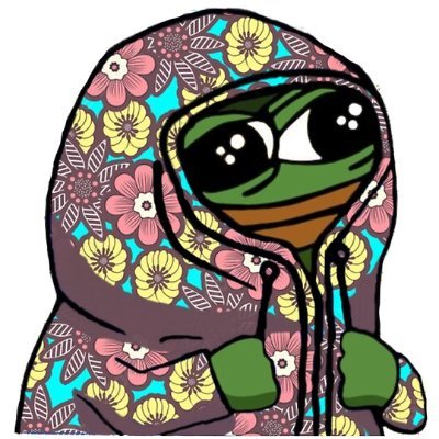 Profile photo of Publix, Solana on-chain trader (wallet 86AE…1EdD)