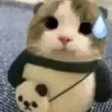 Profile photo of goob, Solana on-chain trader (wallet 9Bka…QaLt)