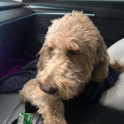 Profile photo of Tim, Solana on-chain trader (wallet AJ6M…Rtvo)