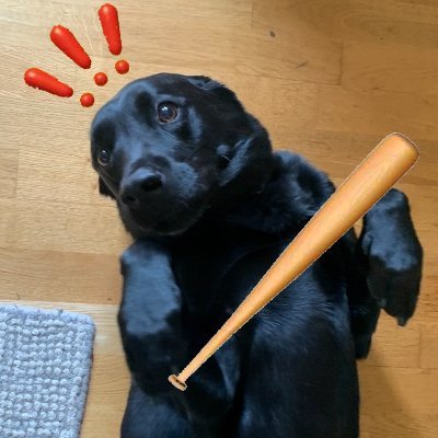 Profile photo of oscar, Solana on-chain trader (wallet AeLb…1FHx)