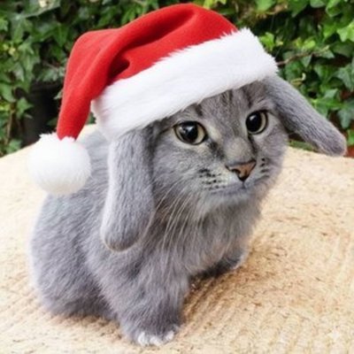 Profile photo of marker, Solana on-chain trader (wallet CQer…ntM2)