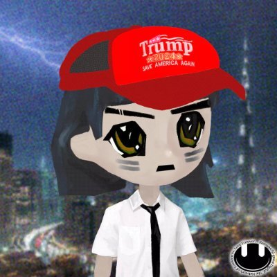 Profile photo of narc, Solana on-chain trader (wallet CxgP…eGve)