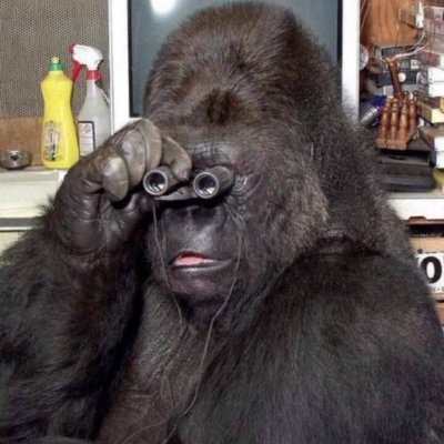 Profile photo of YOUNIZ, Solana on-chain trader (wallet EKDD…PEXP)