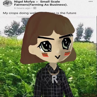 Profile photo of ree, Solana on-chain trader (wallet EVCw…dYuJ)