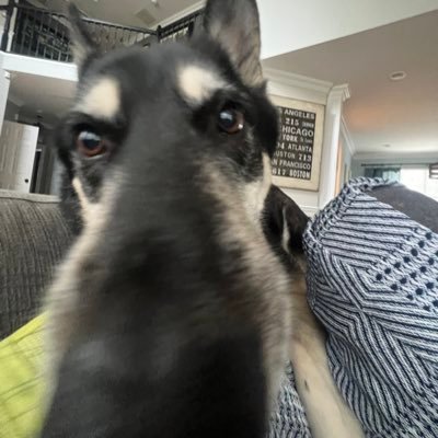 Profile photo of danny, Solana on-chain trader (wallet EaVb…S2kK)