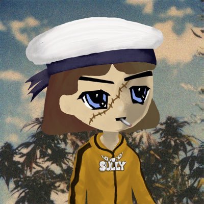 Profile photo of Sully, Solana on-chain trader (wallet Ebk5…oex6)