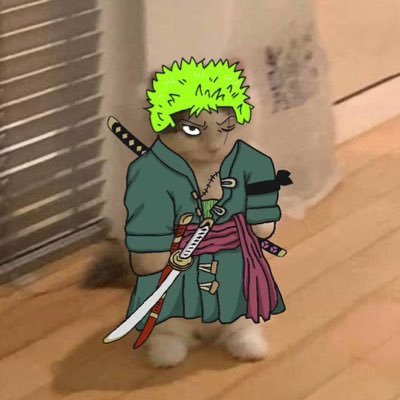 Profile photo of psykø, Solana on-chain trader (wallet FC3n…P7c4)