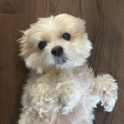 Profile photo of lucas, Solana on-chain trader (wallet Fkze…YvfR)